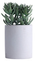 Kunstig tetragona H19 cm